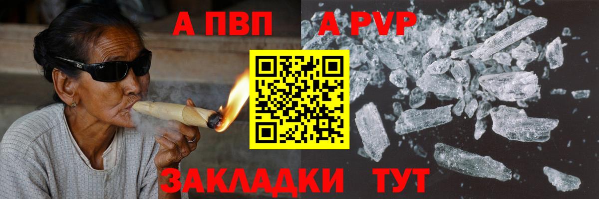 Альфа ПВП СК КРИС Великий Новгород