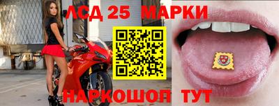 стаф Лесосибирск
