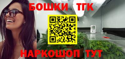 стаф Лесосибирск